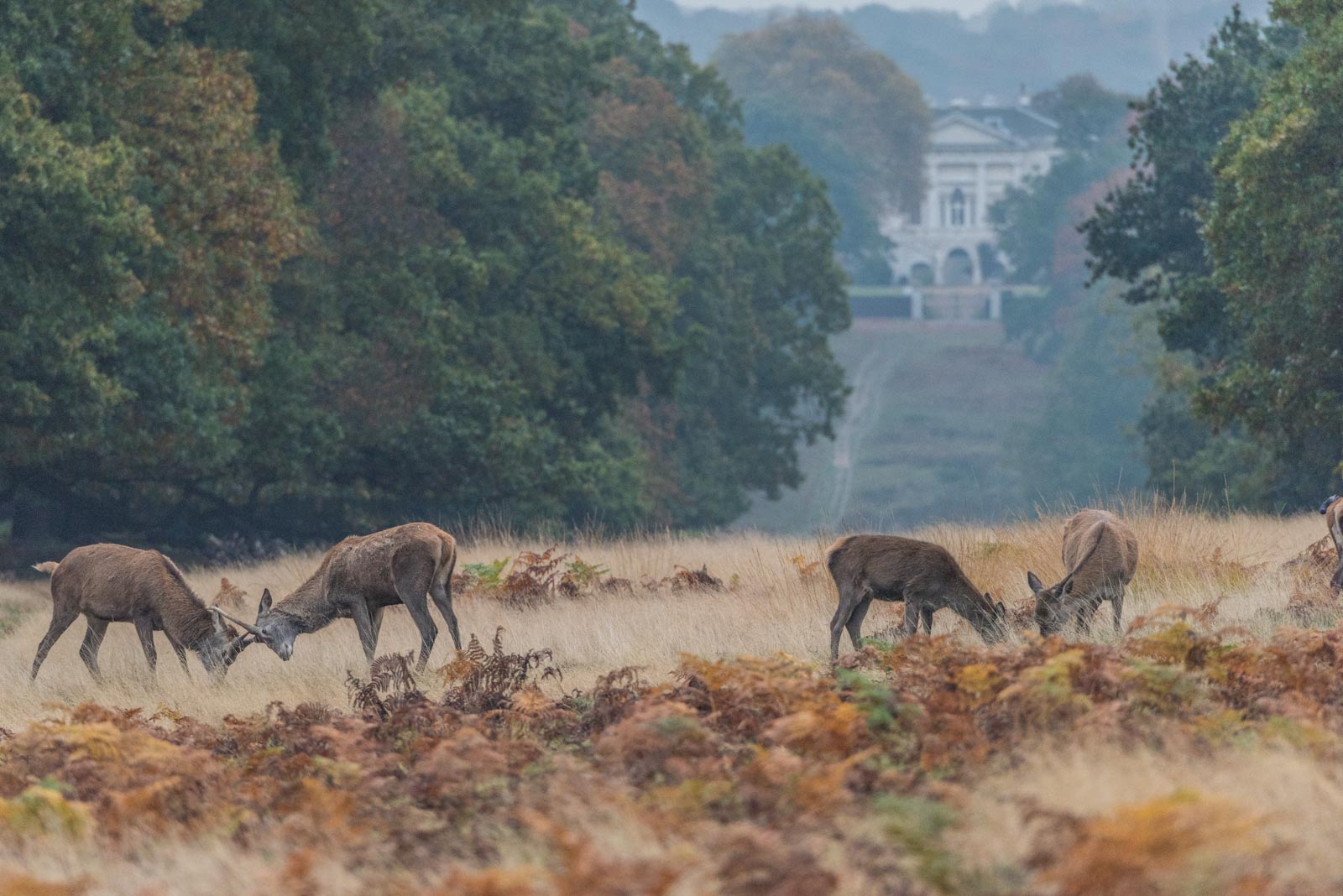 Richmond_RichmondPark_-12