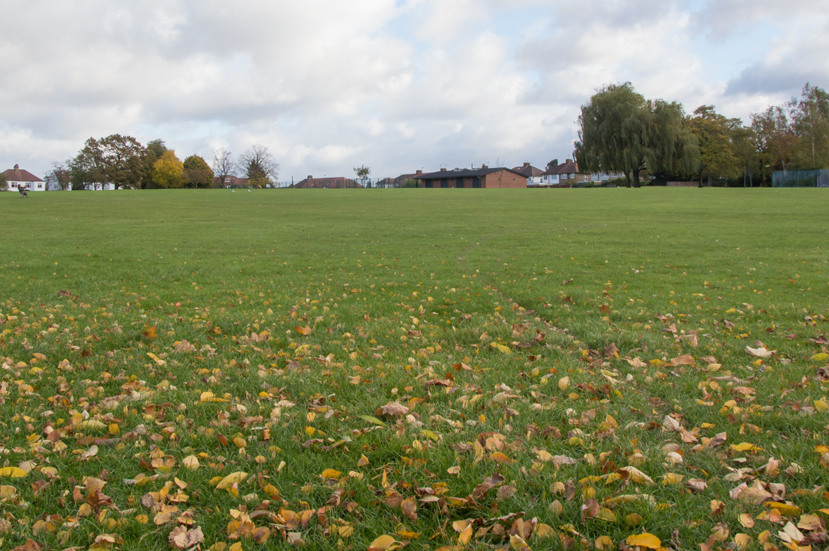 eton-grove-open-space