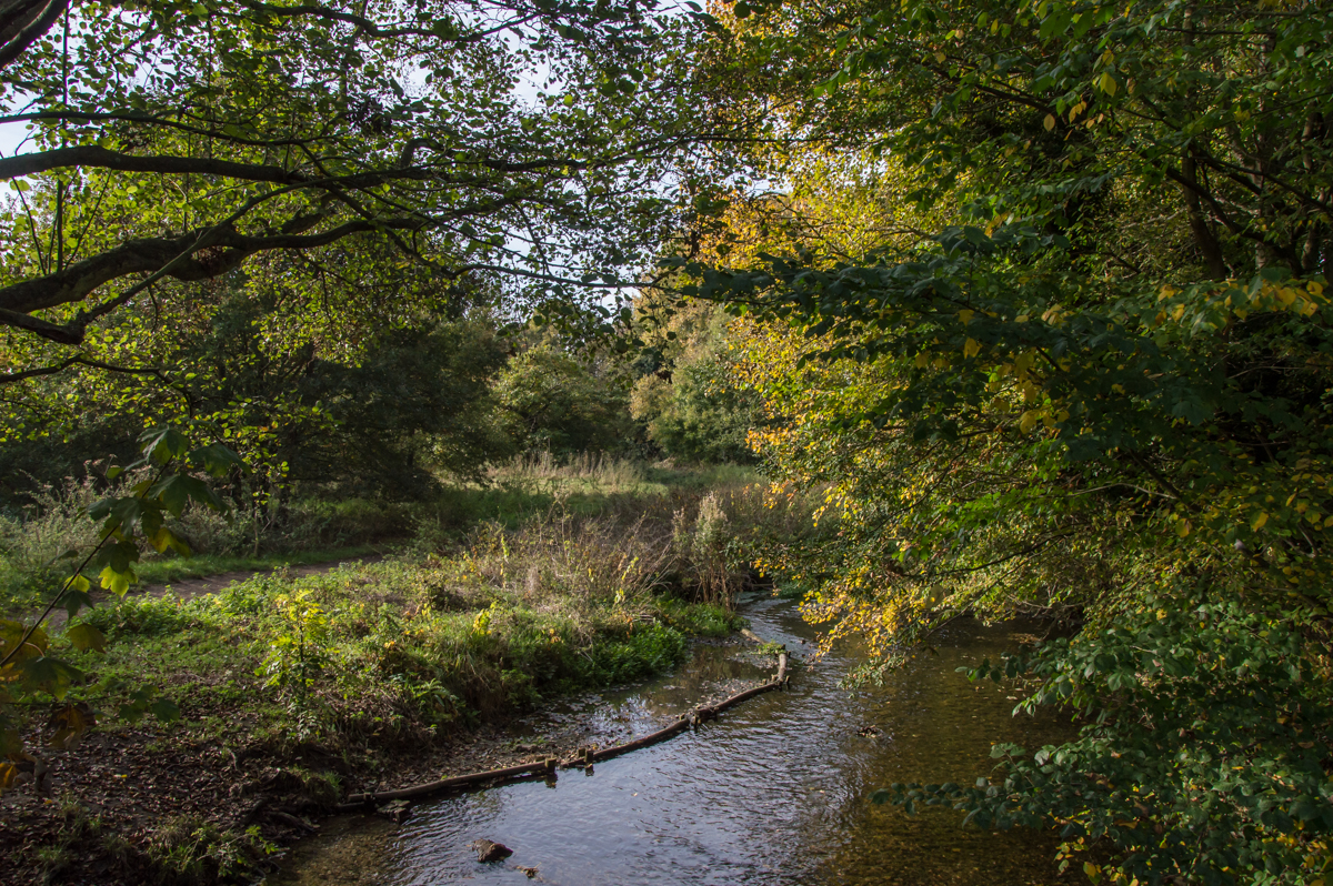 foots-cray-meadow-2