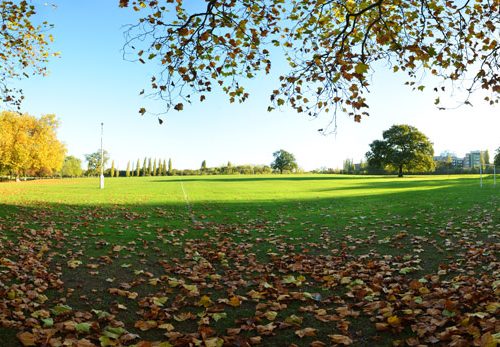 20161106_barnet_montrose_playing_field-by-pavilion