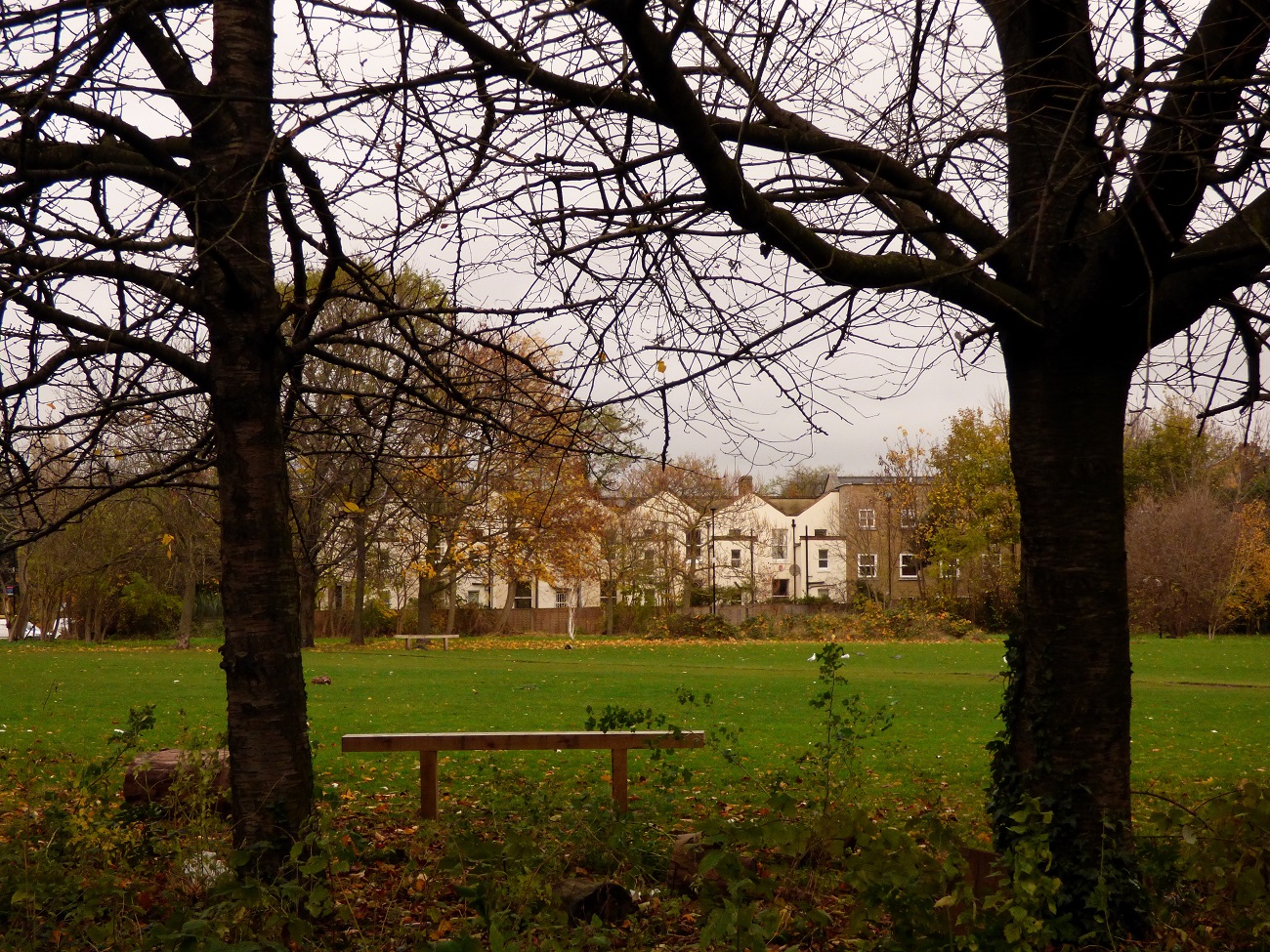 20161124_Tower-Hamlets_Haverfield-Road-Woodland-Walk_Silent-Bench