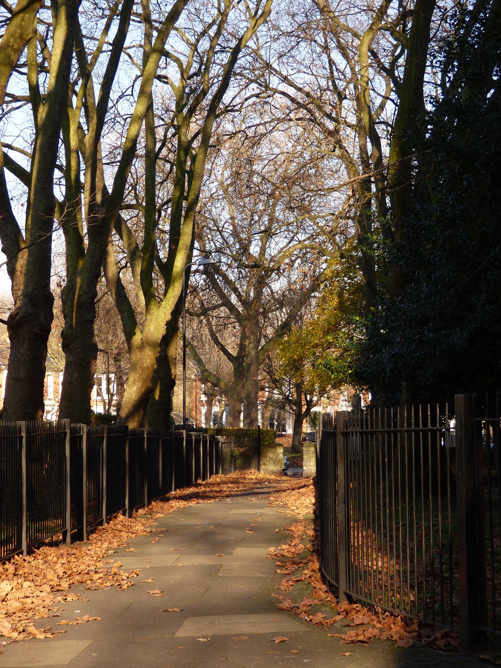 20161130_Hackney_St-John-of-Jerusalem-Church_leaves-decorate-the-path