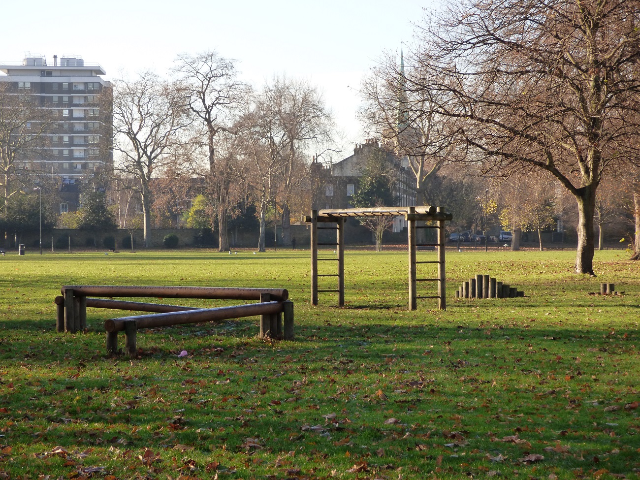 20161130_Hackney_Well-Street-Common_Activity-Frames