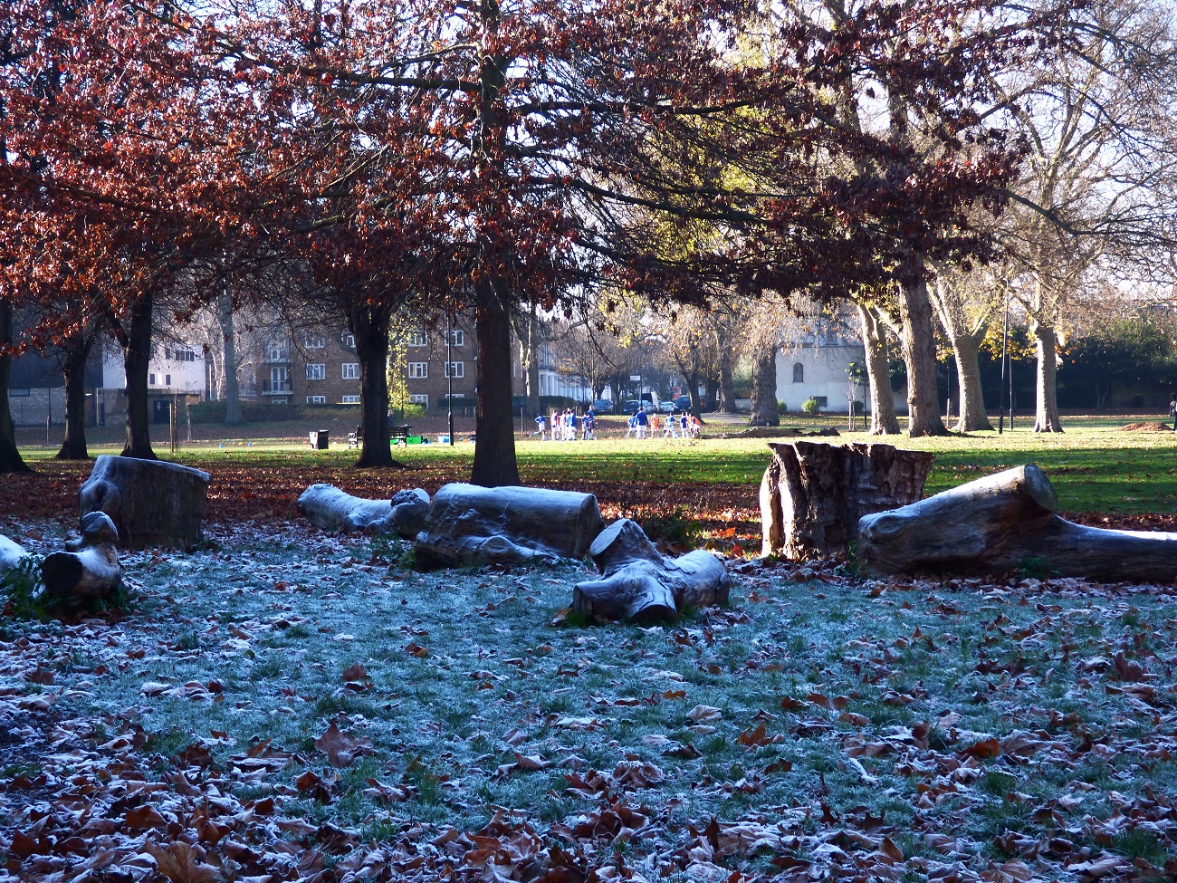 20161130_Hackney_Well-Street-Common_Frost-Covered