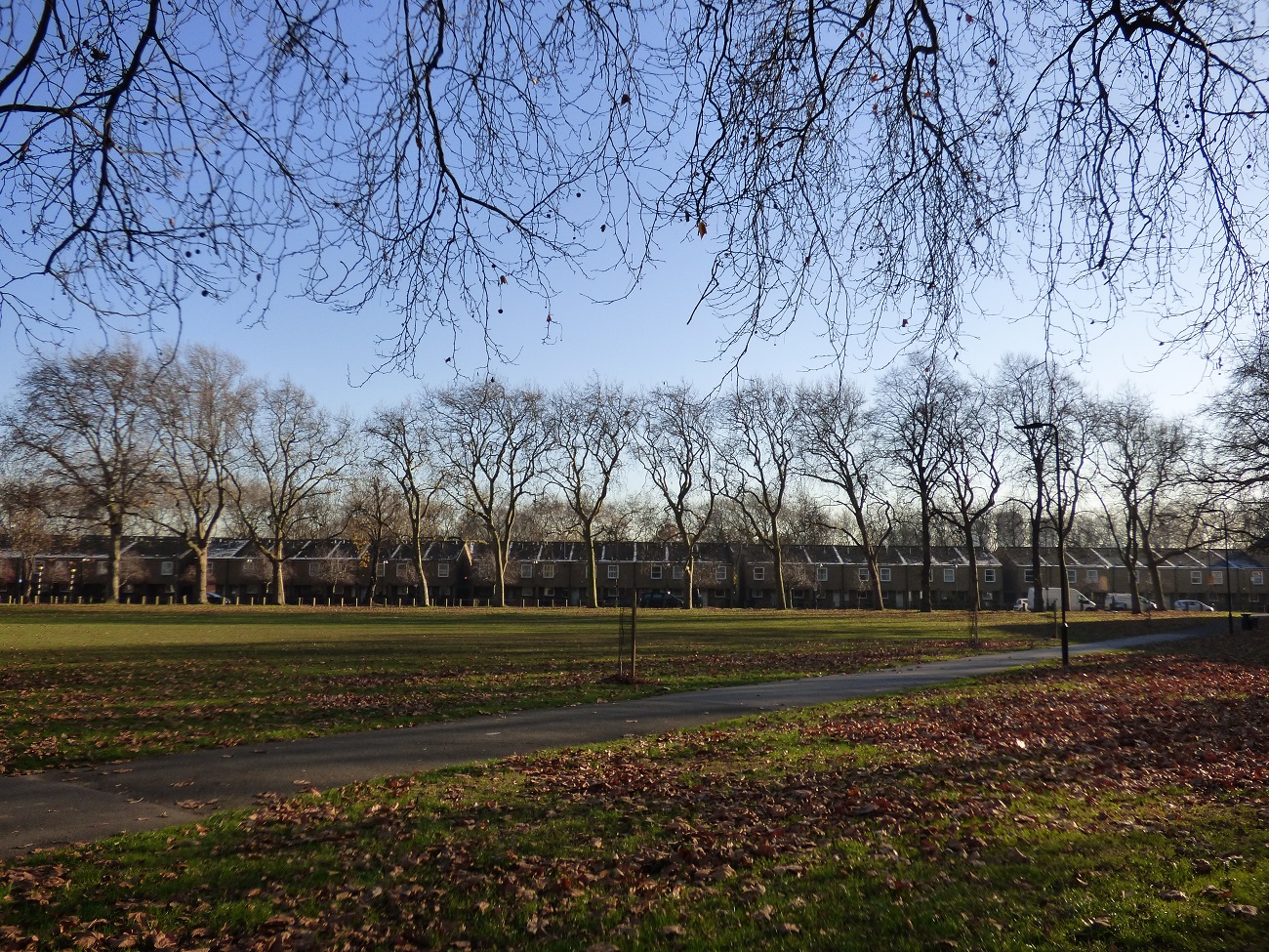 20161130_Hackney_Well-Street-Common_Well-Street-Common