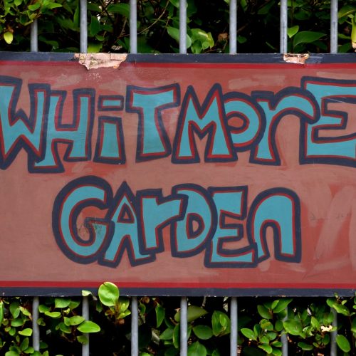 20161202_Hackney_Whitmore-Garden_Whitmore-Garden