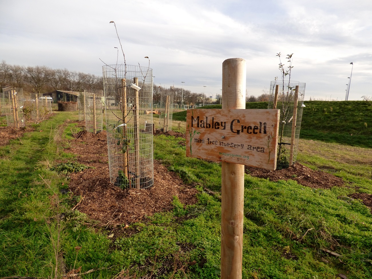 20161207_Hackney_Mabley-Green_Mabley-Green-Nursery