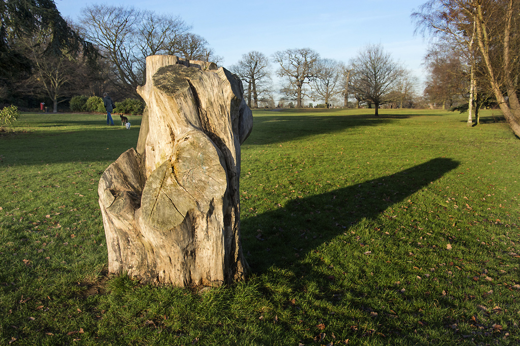 20161214_Enfield_Groveland-Park_Tree-stump