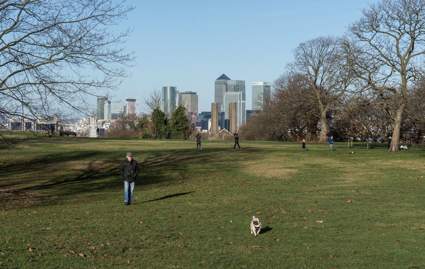 View-to-Canary-Wharf-Greenwich-Park-DSP1300