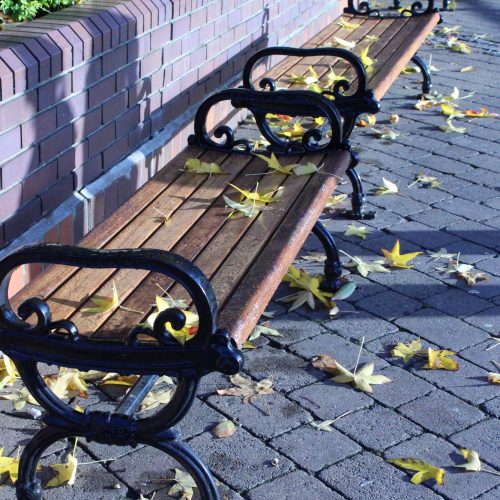 11Dec_StKatharineDocks_Autumn-bench