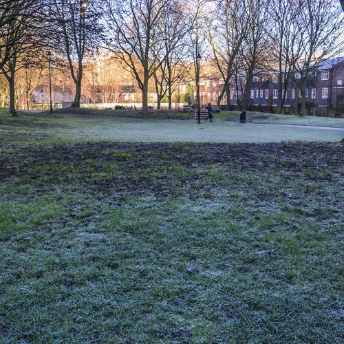20161228_Camden_-Brill-Place-Park_Winter-frost
