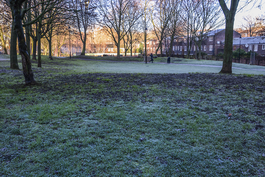 20161228_Camden_-Brill-Place-Park_Winter-frost