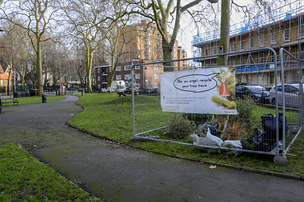 20170102_Camden_Goldington-Crescent-Gardens_After-Christmas