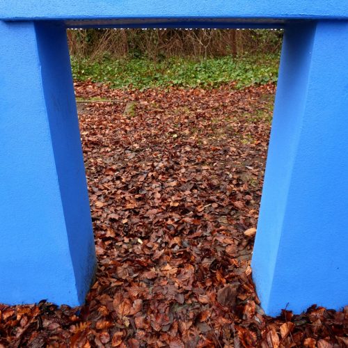 20170107_Newham_Forest-Lane-Lodge_Through-the-blue-doorway