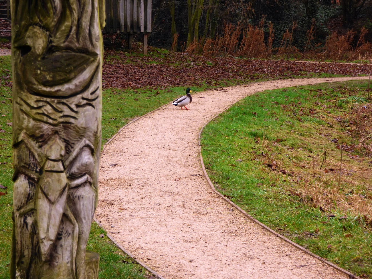 20170107_Newham_Forest-Lane-Park_Lone-Wanderer