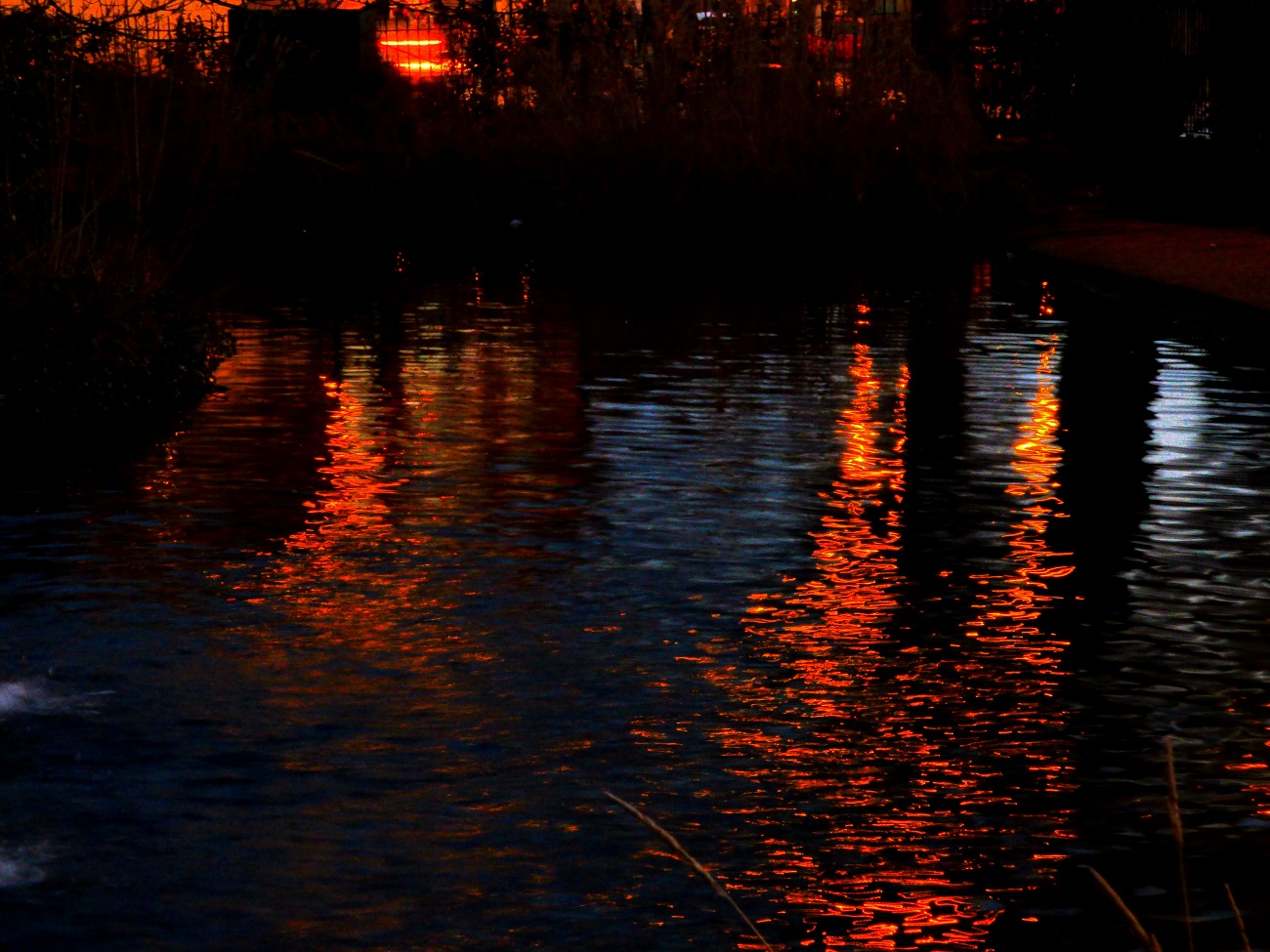 20170114_Hackney_Lower-Clapton-Pond_Evening-Reflections