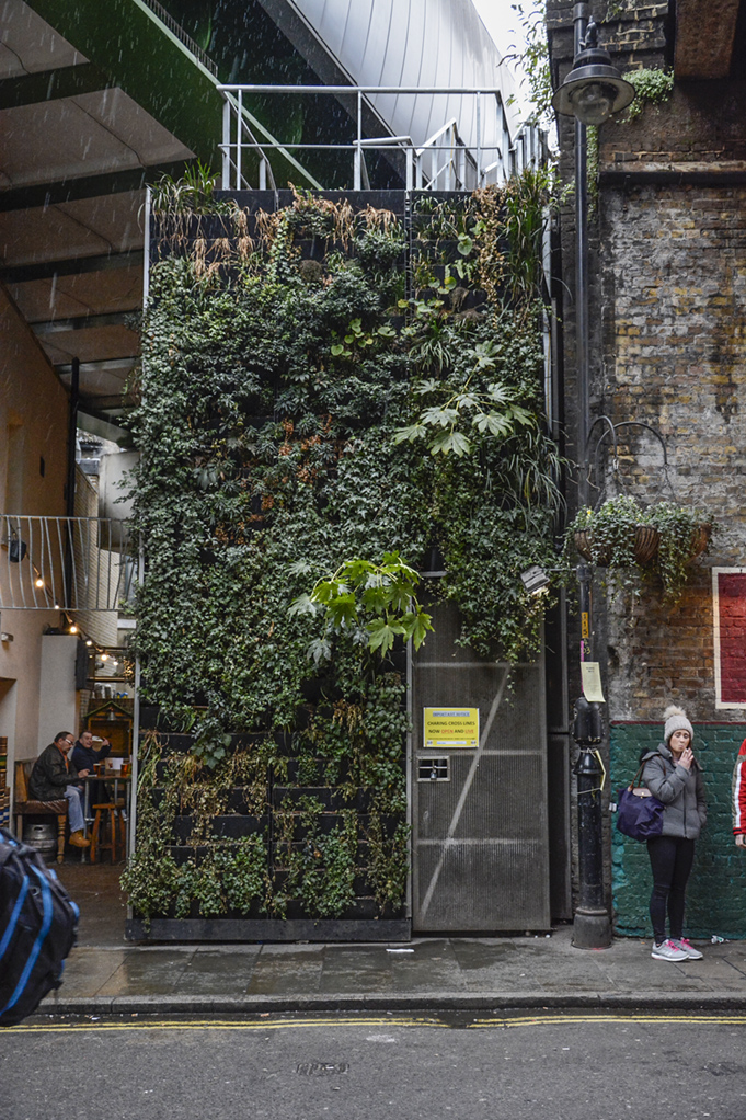 20170114_Southwark_Borough-Market_Livig-wall