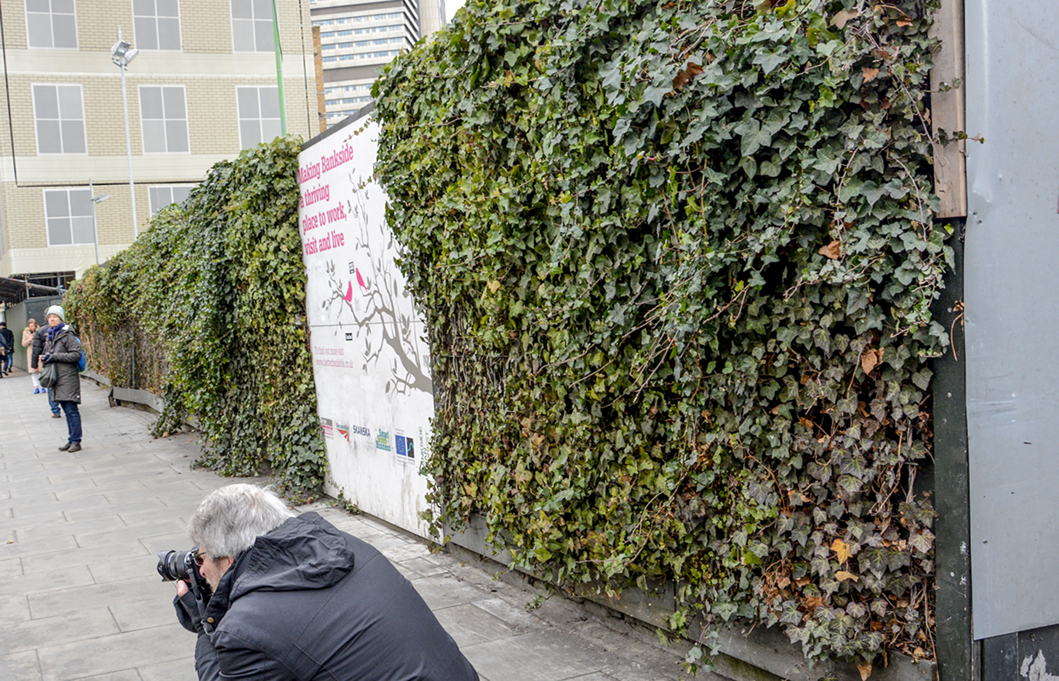 20170114_Southwark_Union-Street_Living-wall