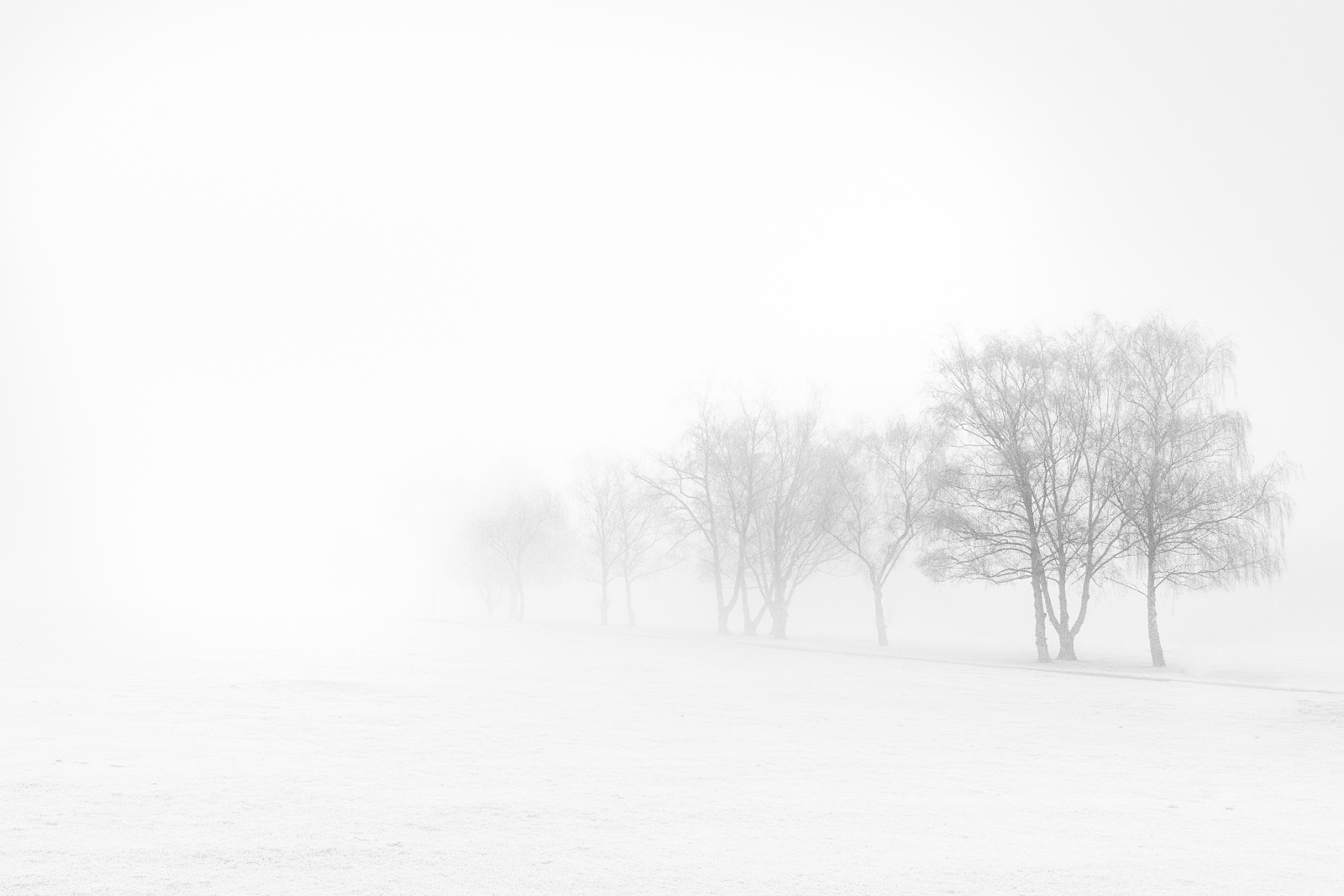 20170123_Enfield_TrentPark_FrozenMist-2