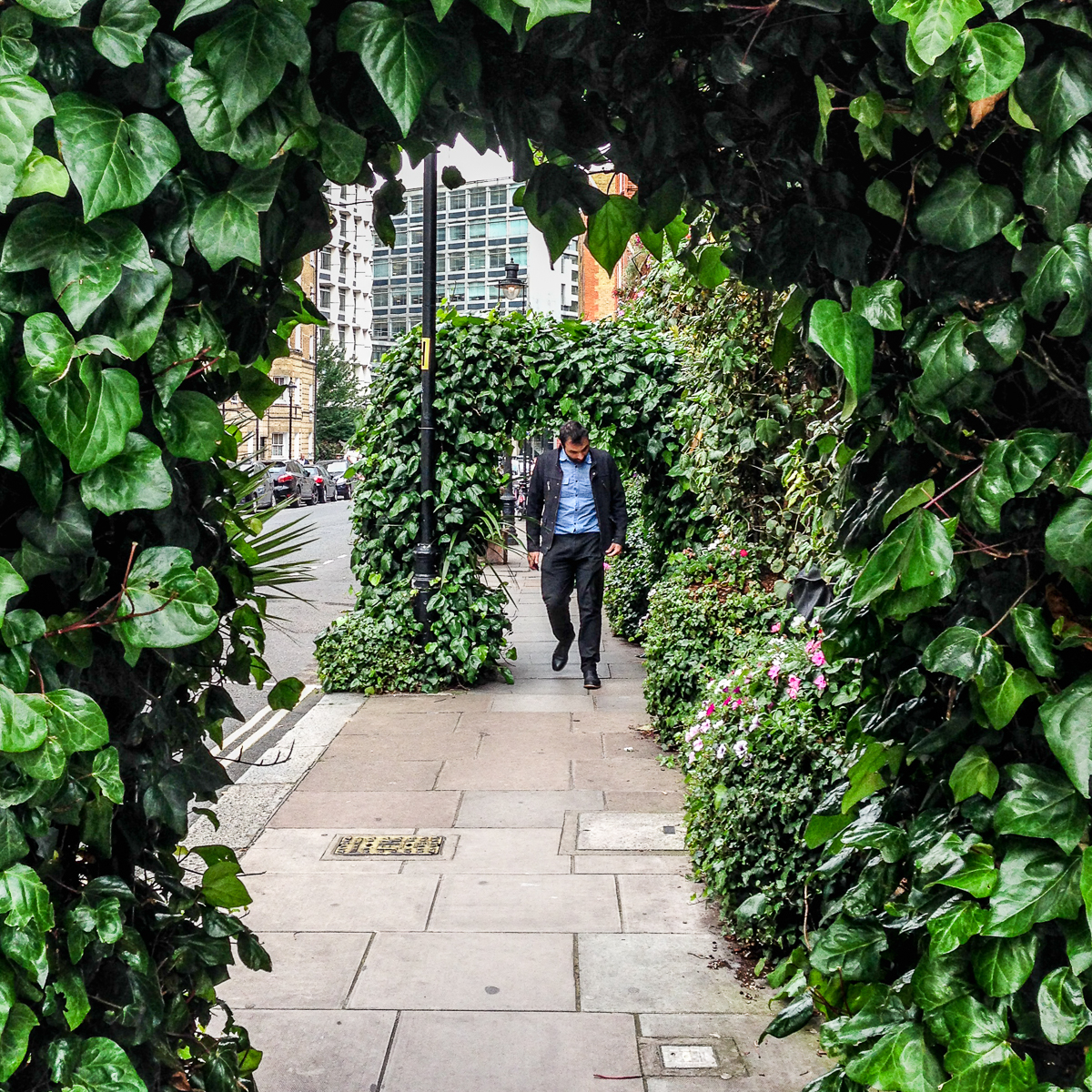 20160707_Westminster_Drury-Lane_Leaves-Archway