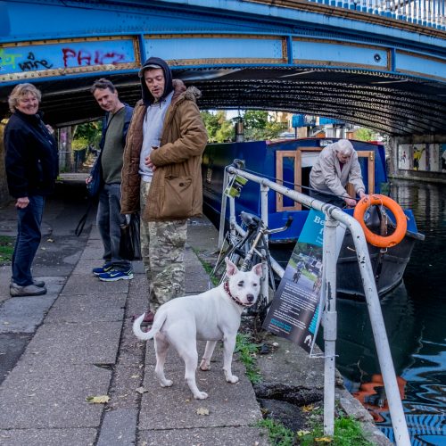 20161018_Westminster_Grand-Union-Canal-Maida-Hill_English-Bull-Terrier