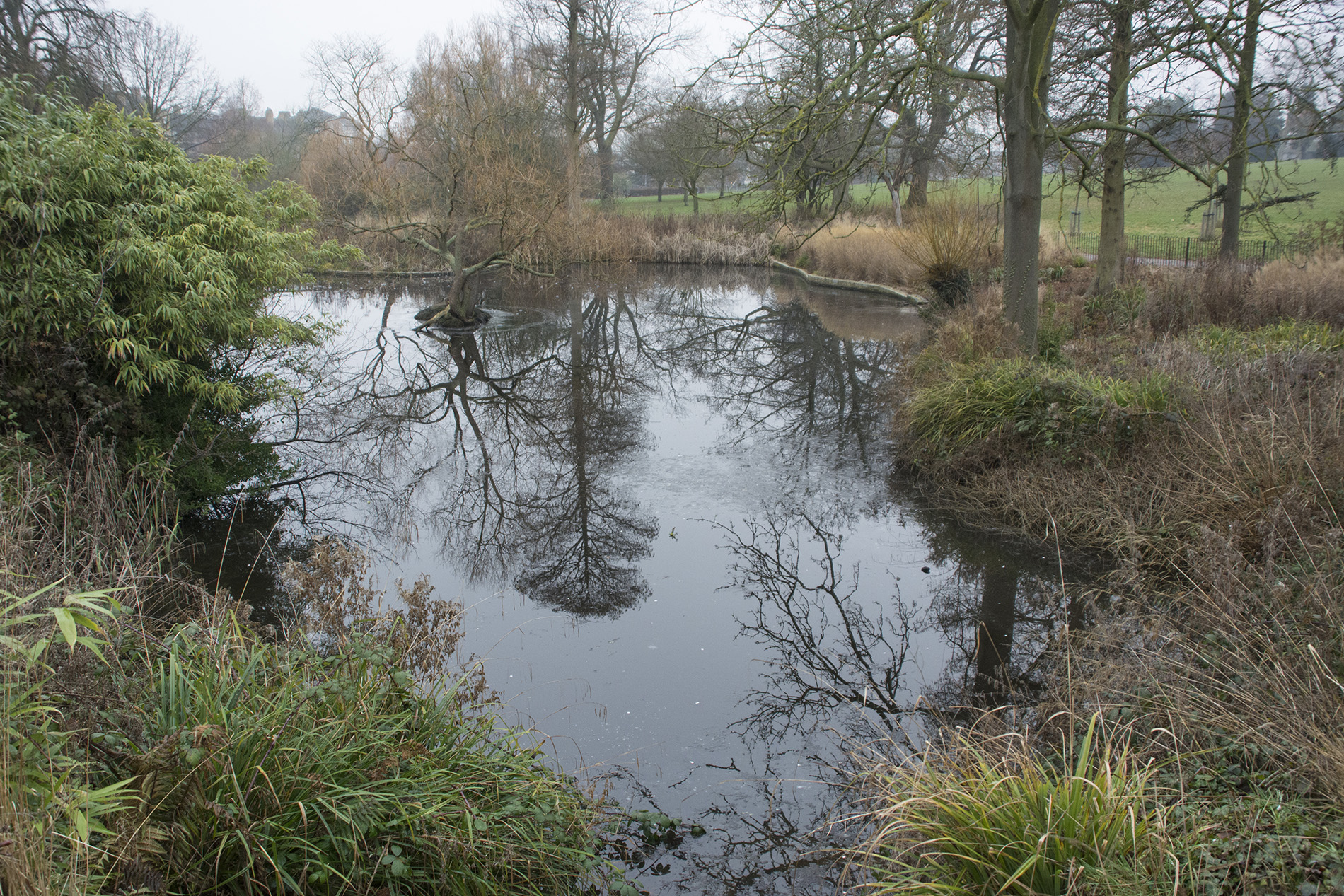 2017-01-25-Lambeth_Brockwell-Park_Landscape_Winter-Icy-Reflections