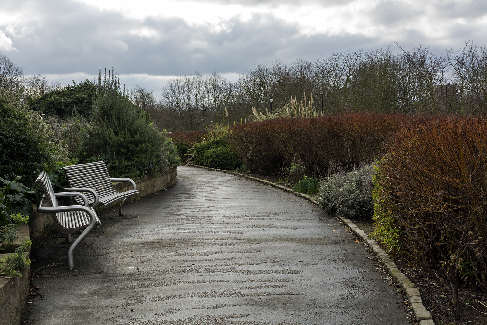 2017-02-26-Tower-Hamlets_Canals-and-Rivers_Landscape_Mile-End-Park_Winter