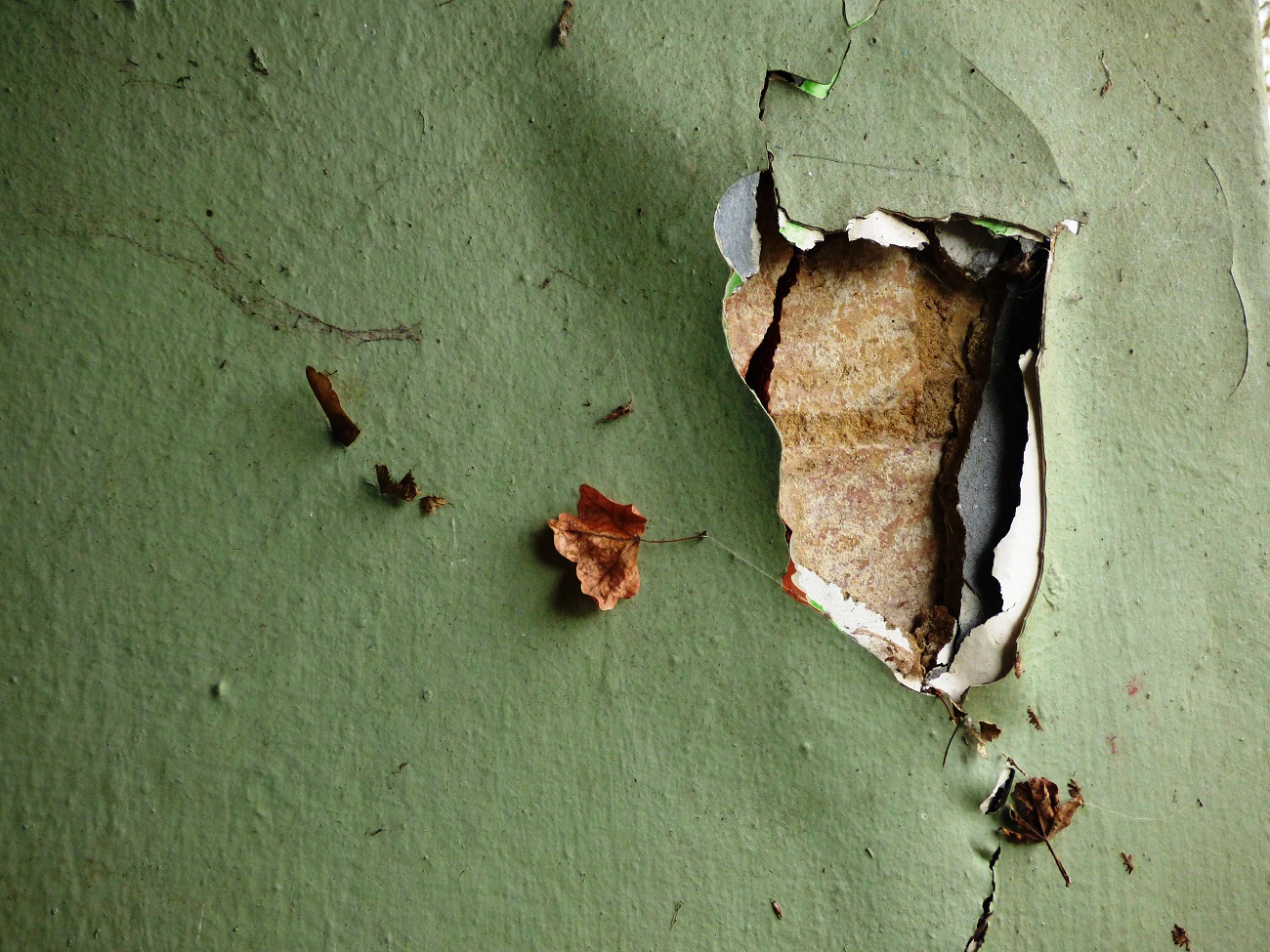 20170204_Bromley_Harvington-Park_Peeling-Wall