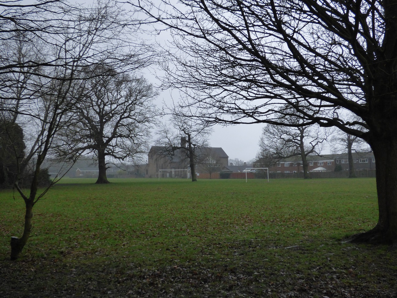 20170204_Bromley_Harvington-Park_View-from-the-Shelter