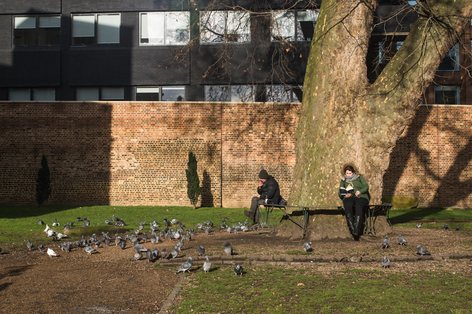 20170204_Southwark_-STGeorgesChurchyardGardens_feeding