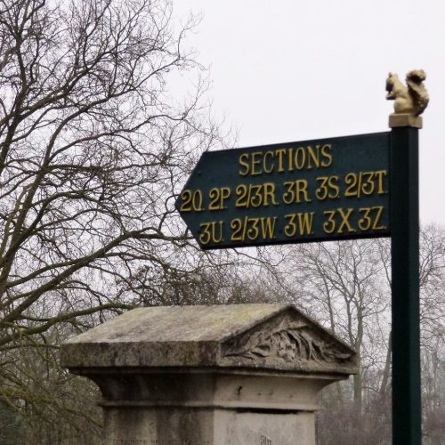 20170211_Brent_Paddington-Old-Cemetery_Squirrel-Guide
