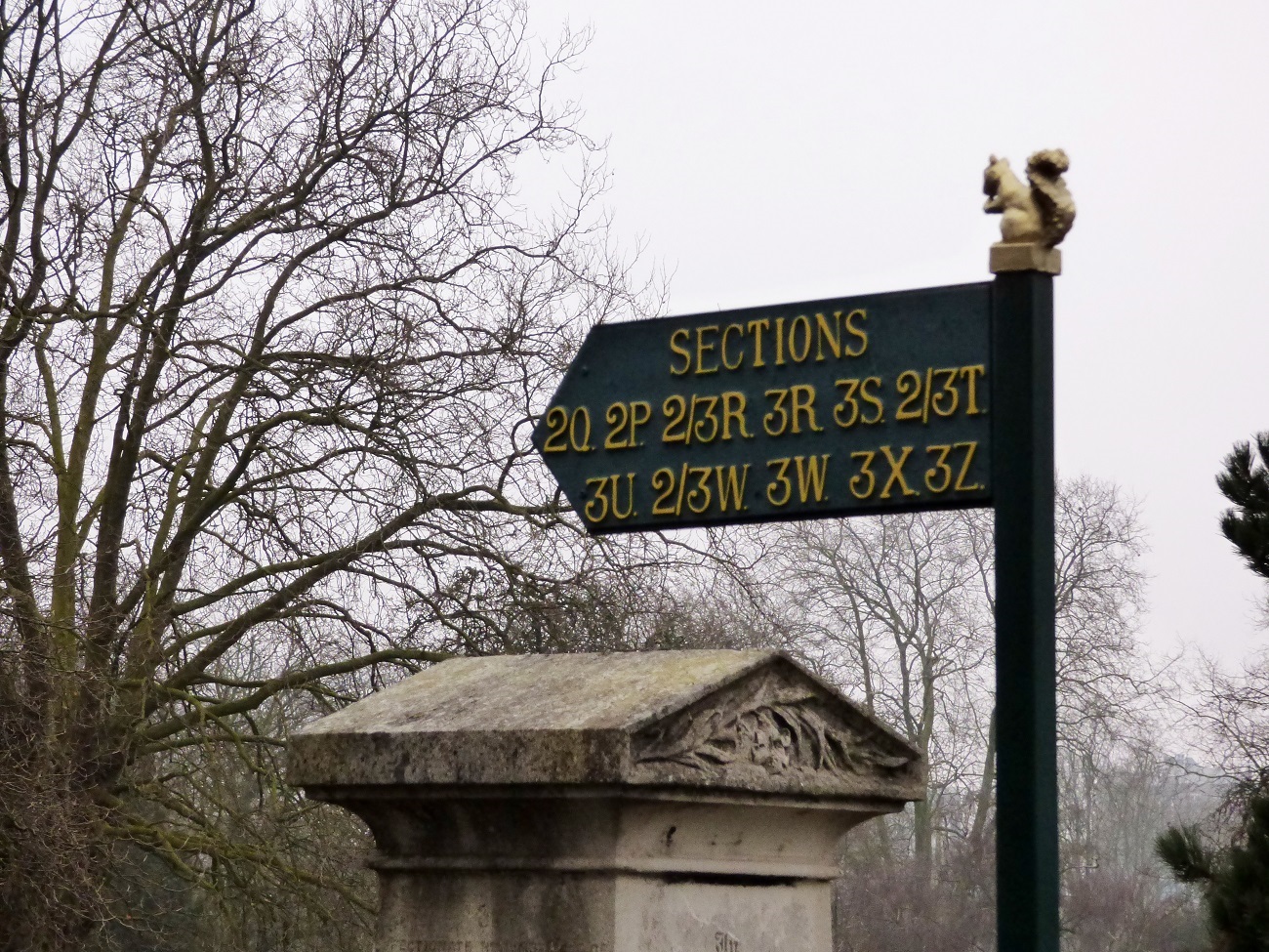 20170211_Brent_Paddington-Old-Cemetery_Squirrel-Guide