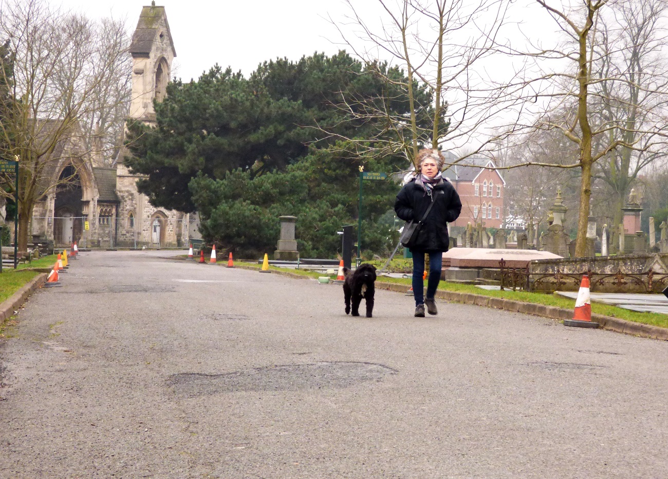 20170211_Brent_Paddington-Old-Cemetery_Walking-the-Dog