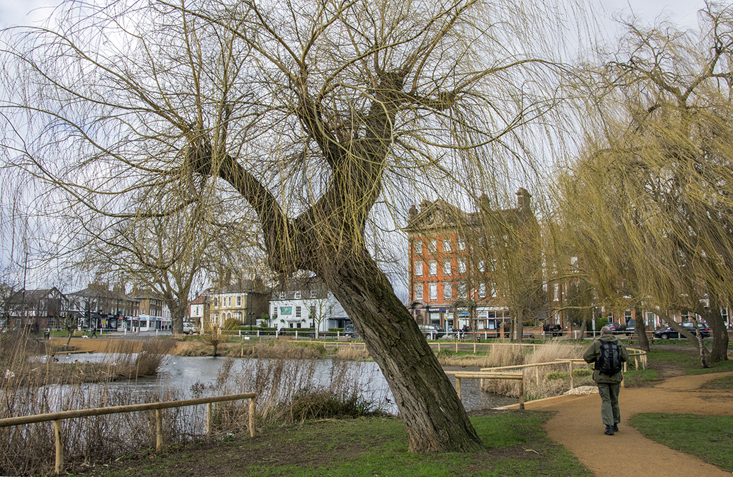 20170223_Richmond_Barnes-Green-Pond-_Winter-at-the-Pond