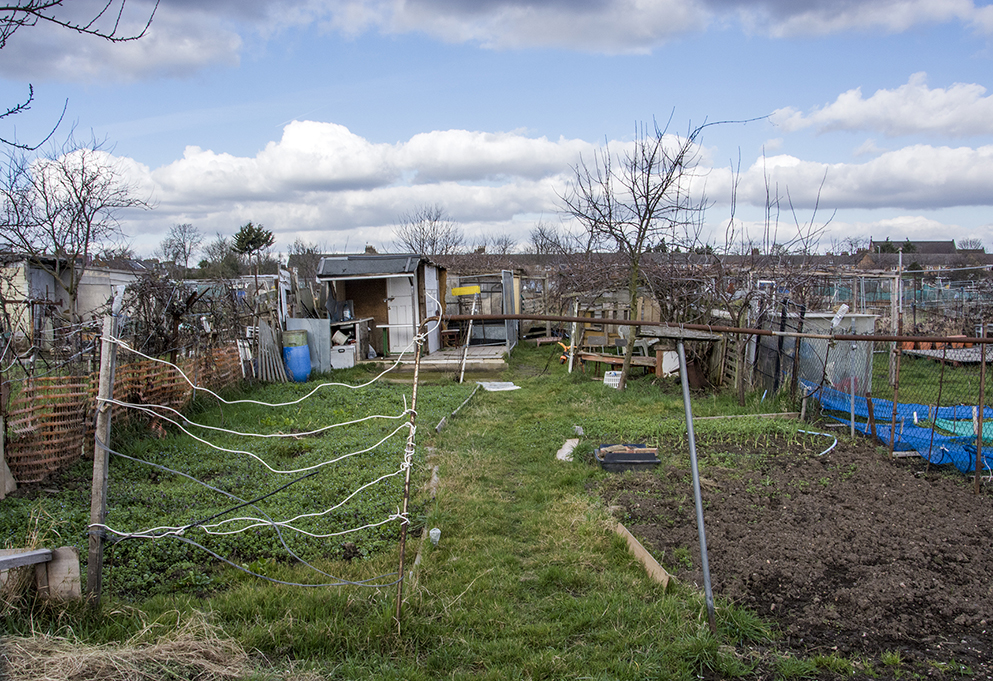 20170224_Enfield_Fraser-Road_Allotments
