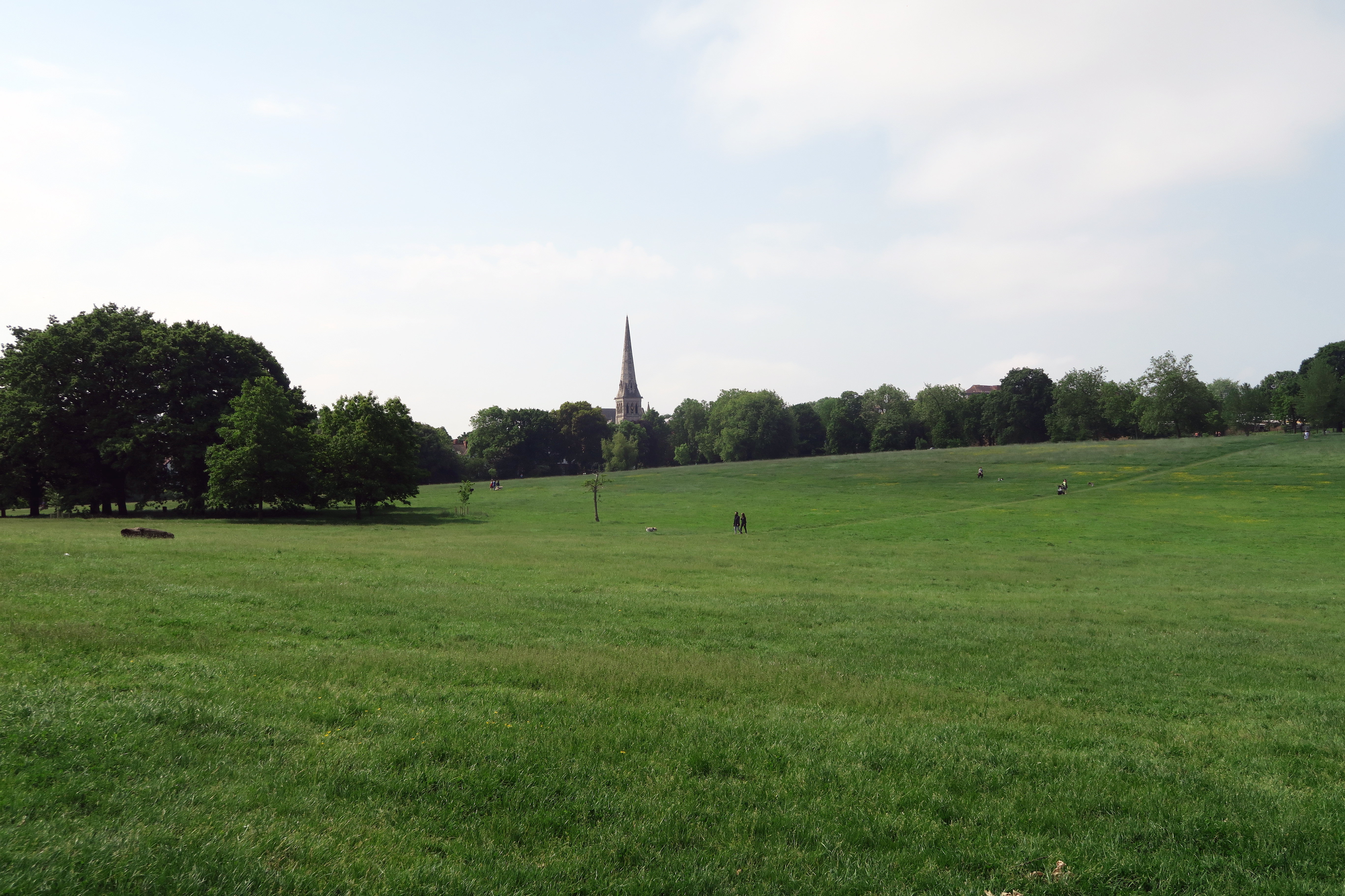 12-Brockwell-Park-countryside-5_6_16