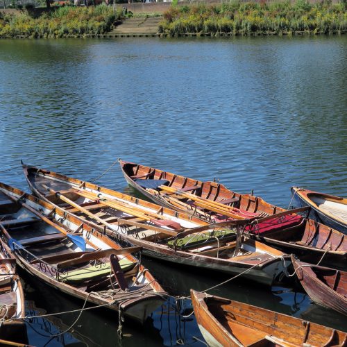 20-Rowing-Boats-Richmond-19_7_16