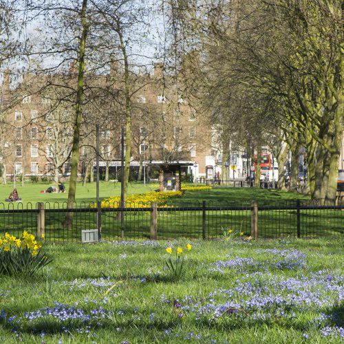 20107-03-15-Hammersmith-Fulham_Eel-Brook-Common_Landscape_Spring-Spring-Flowers