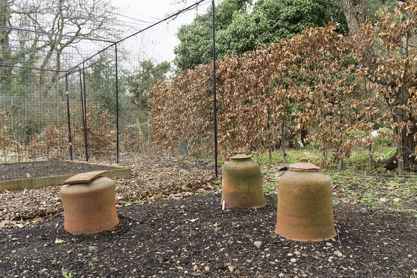 2017-03-01-Enfield_Myddelton-Hall_Flora_Winter-Cloches1