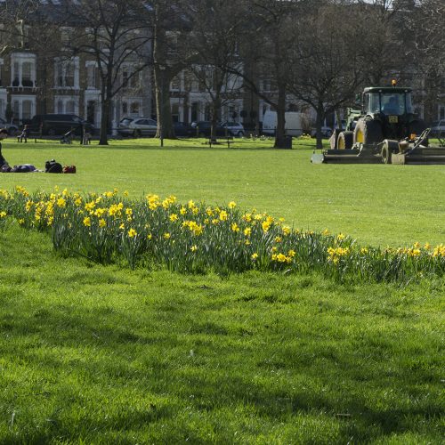 2017-05-15-Hammersmith-Fulham_Eel-Brook-Common_Spring_Landscape-First-Mowing