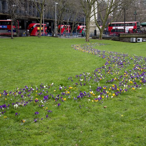 20170303_Camden_Euston-Square-Gardens_S-for-spring