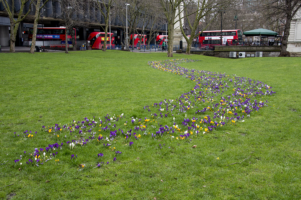 20170303_Camden_Euston-Square-Gardens_S-for-spring