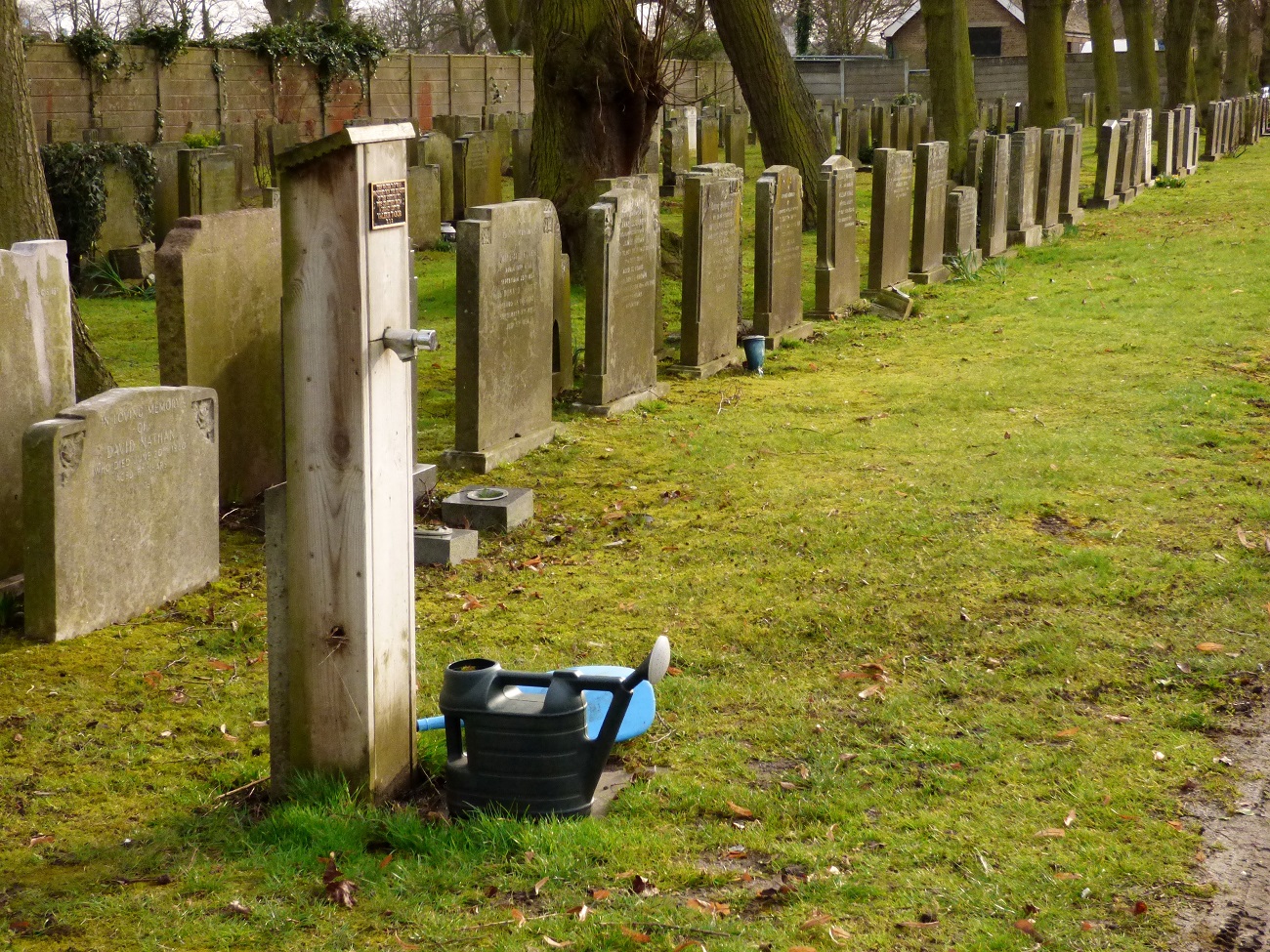 20170306_Redbridge_Barkingside-Cemetery_A-way-of-life