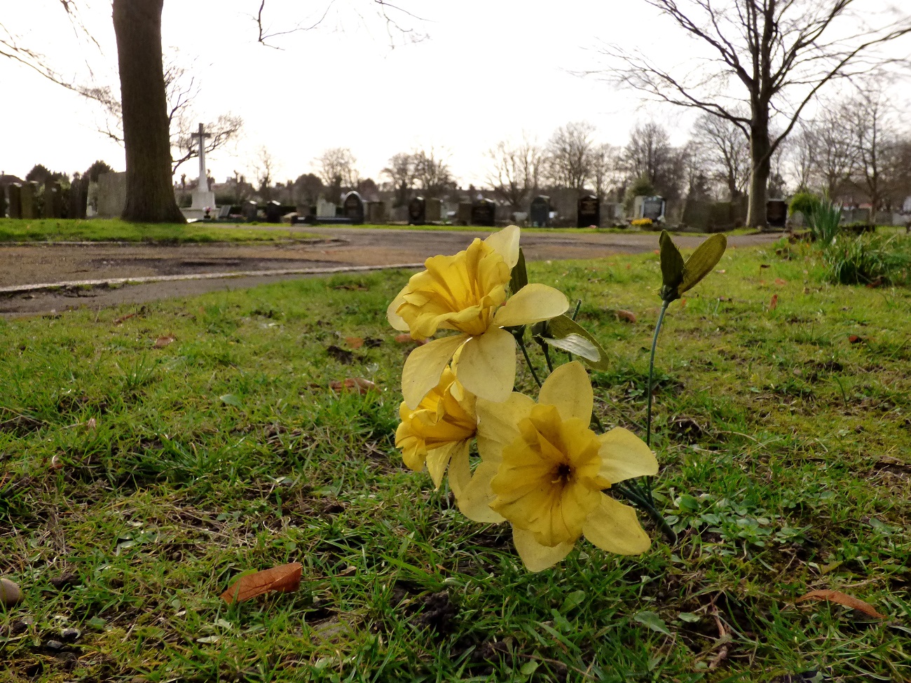 20170306_Redbridge_Barkingside-Cemetery_Plastic-Flora