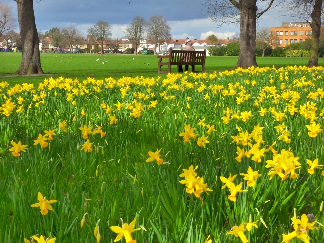 20170306_Redbridge_Barkingside-Park_The-Bright-Side-of-Barkingside