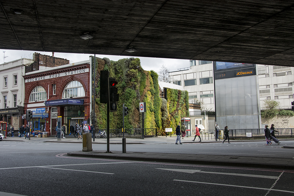 20170307_Westminster_Marylebone-Road_Living-wall