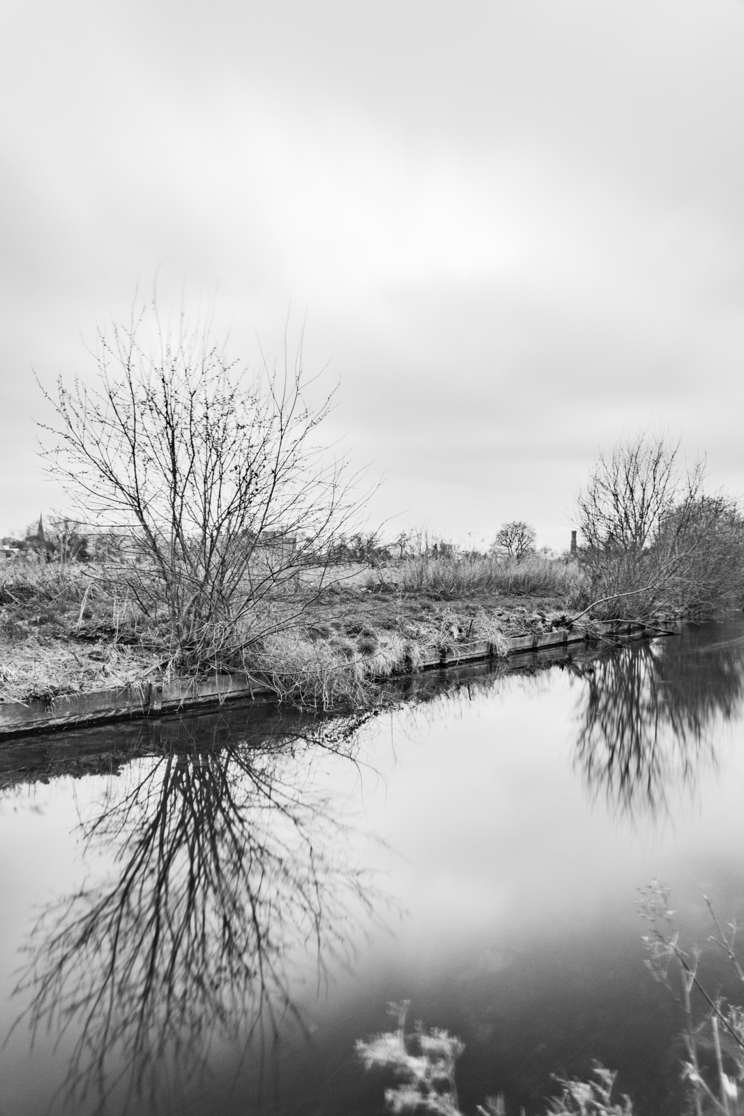 20170310_Hackney_Woodberrywetlands_New-River-2