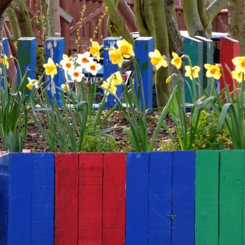 20170313_Newham_Hermit-Road-Recreation-Ground_Colourful-flower-beds