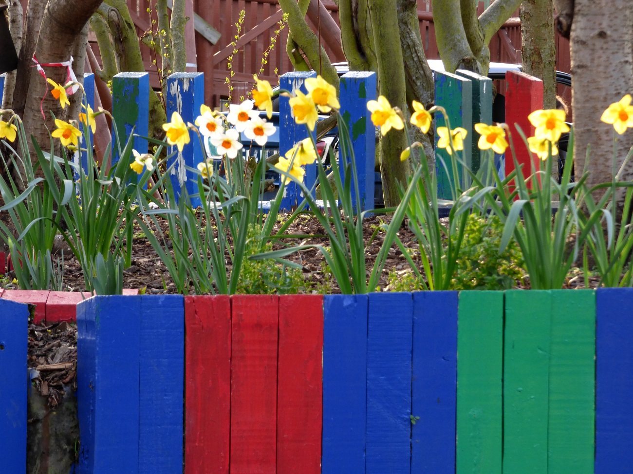 20170313_Newham_Hermit-Road-Recreation-Ground_Colourful-flower-beds