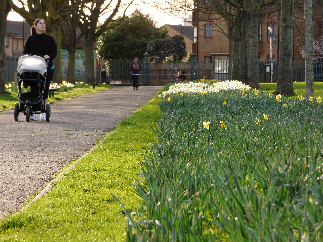 20170313_Newham_Hermit-Road-Recreation-Ground_Spring-is-in-the-air